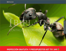 Tablet Screenshot of ibiplagas.com